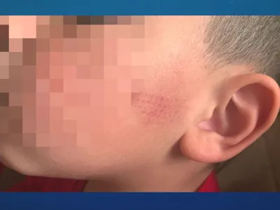 Pais denunciam agressões de professora em escola Militar no RS