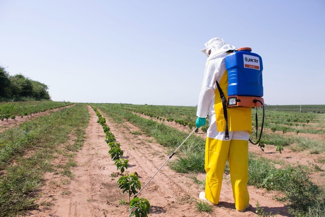 Imigrante japonês revolucionou o agronegócio brasileiro; veja suas criações