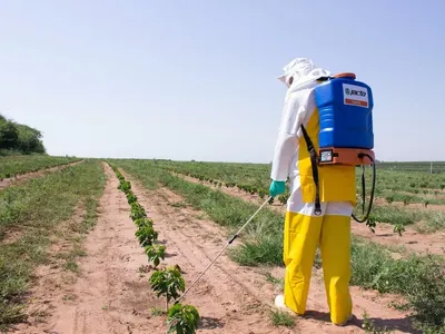 Imigrante japonês revolucionou o agronegócio brasileiro; veja suas criações