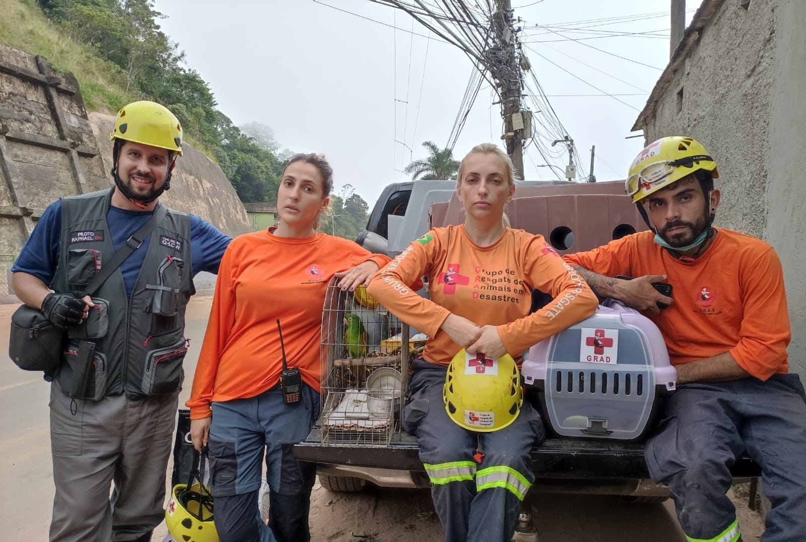 Equipes do GRAD já estão na Venezuela para resgatar animais no desastre