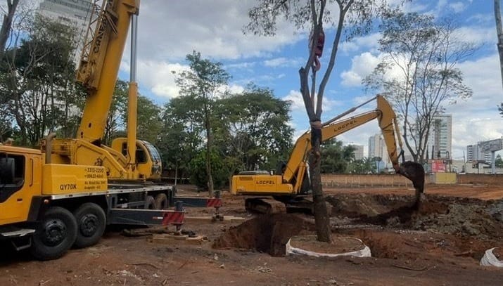 Cidade goiana faz transplante de 39 árvores centenárias ; entenda