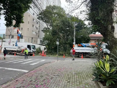 Queda de árvore interdita rua na Vila Adyana em São José dos Campos