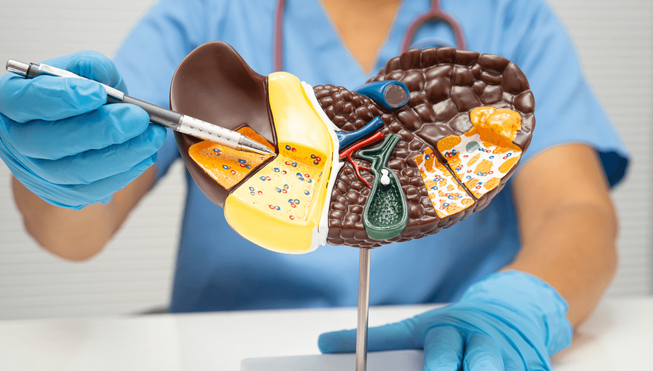 Hepatite é uma inflamação do fígado