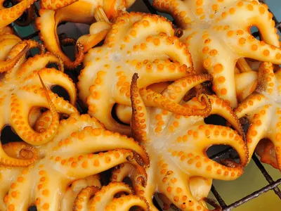 Leve novos sabores para a churrasqueira com uma lula grelhada
