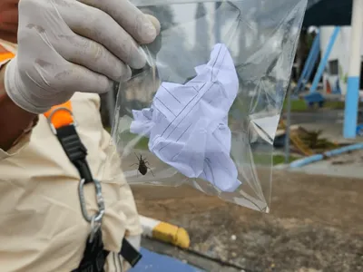 Ação da Saúde reforça prevenção à doença de Chagas em Araçatuba