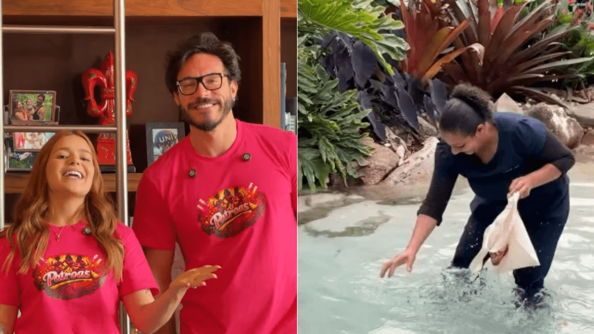 EXCLUSIVO: Eliezer se pronuncia sobre reality de Viih Tube com empregados