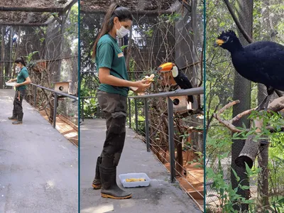 Zoológico de Sorocaba oferece programação especial de férias durante julho