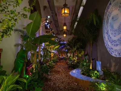 CAIXA Cultural Curitiba recebe mostra interativa sobre o meio ambiente