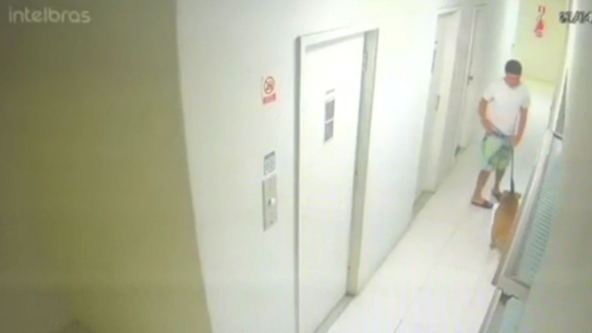 Polícia indicia homem suspeito de afogar e matar cão na Praia de Copacabana