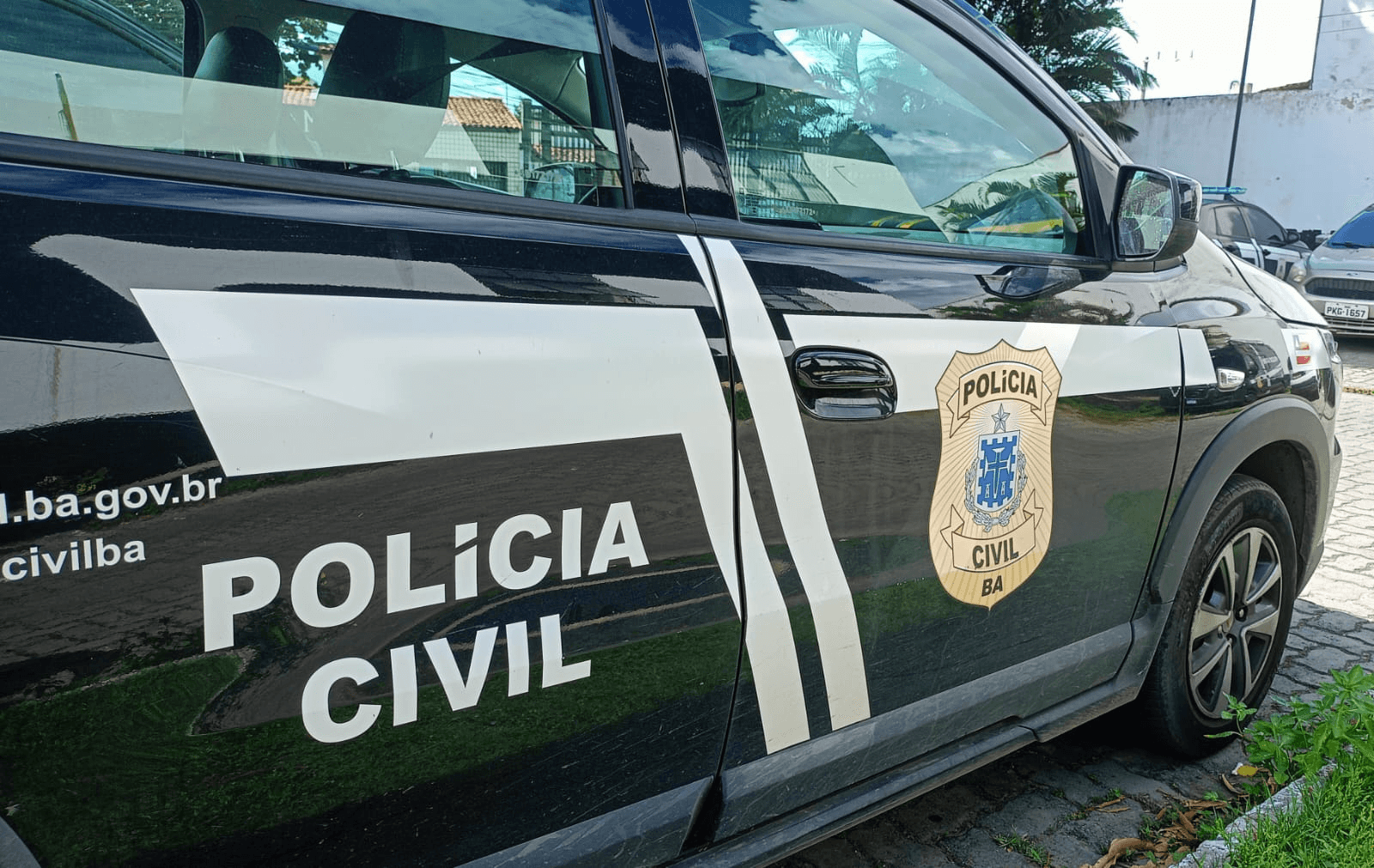 Operação bloqueia quase R$ 50 milhões e prende 12 pessoas
