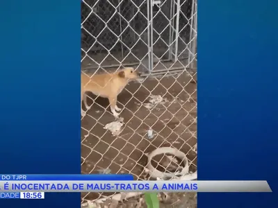 TJ do Paraná absolve idosa em caso de maus-tratos a 300 cães