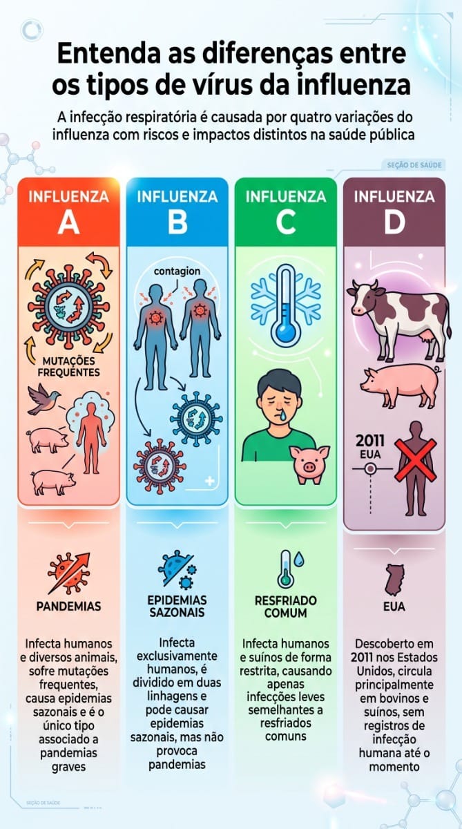 Infográfico explicativo com o título "Diferenças entre os tipos de vírus da gripe". O conteúdo apresenta um comparativo didático sobre as variações do vírus influenza, detalhando as características, gravidade e formas de transmissão de cada tipo para orientar o leitor.