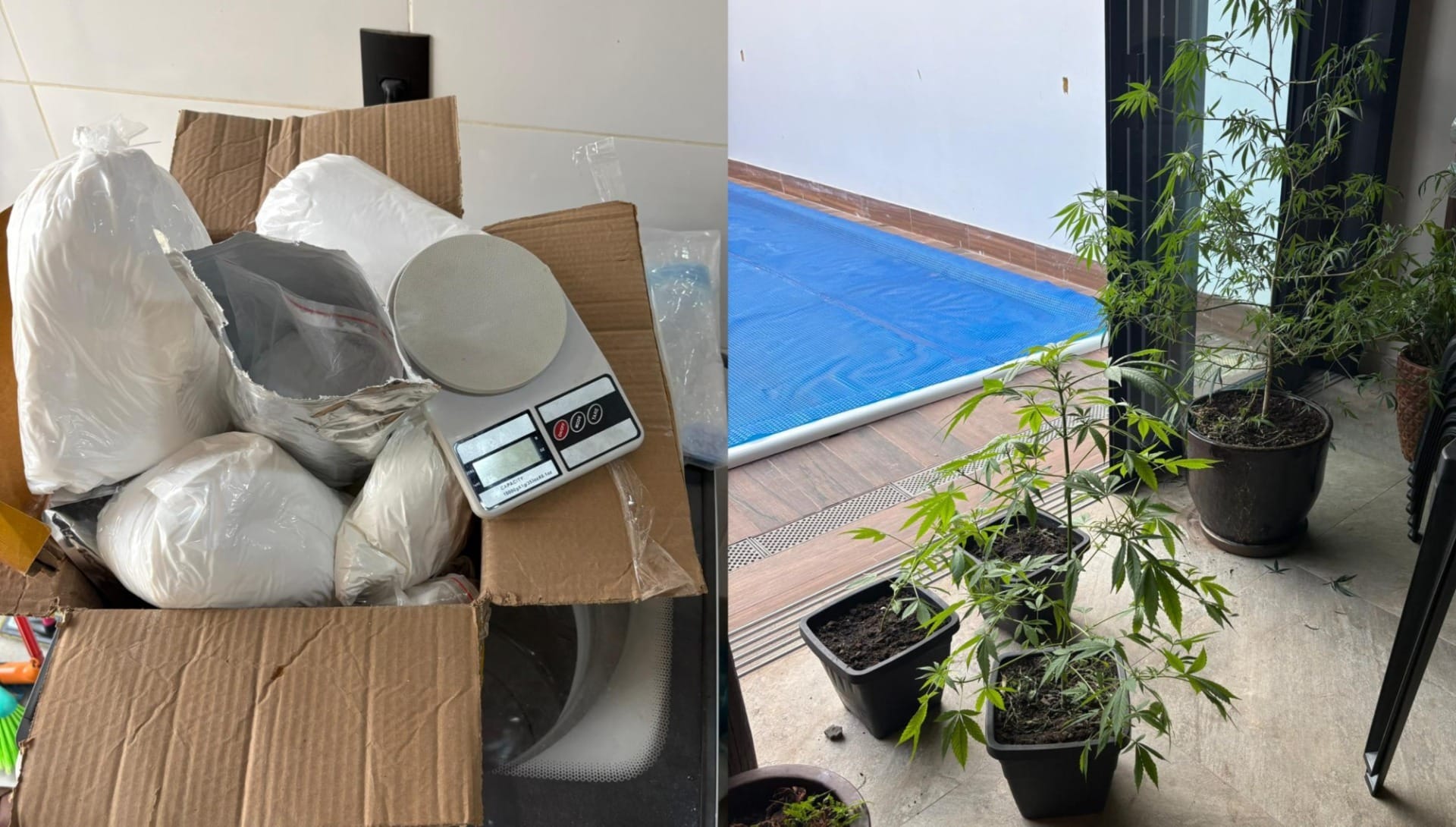 Substâncias utilizadas para a comercialização de cocaína e maconha