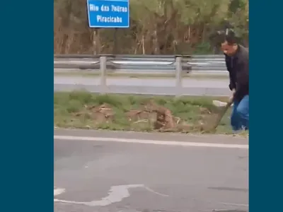 Vídeo de onça-parda puxada pelo rabo mobiliza polícia em Piracicaba