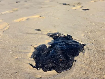 INEA investiga manchas de óleo encontradas em praias do Rio e de Arraial
