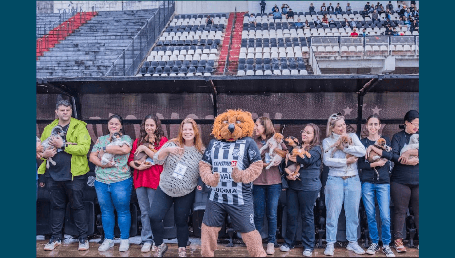 15 animais resgatados ganham nova família durante jogo da Inter de Limeira