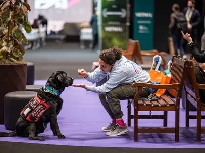 PET South America 2026 terá esportes para cães e testes de sociabilidade