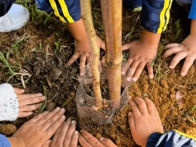 Programa de Arborização da Prefeitura fortalece áreas verdes