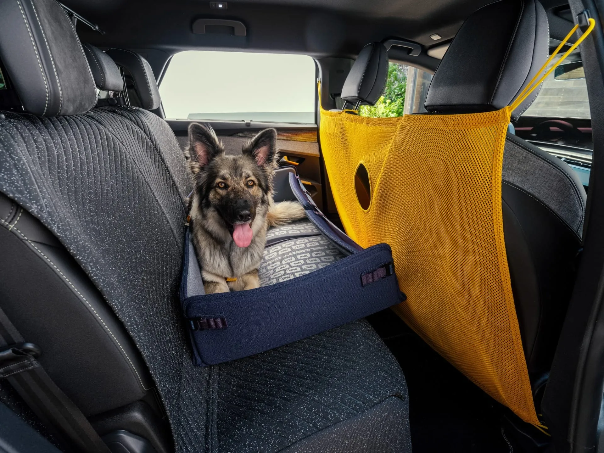 Dog Edition Concept tem colchão modular, apoio de cabeça na janela, monitoramento remoto