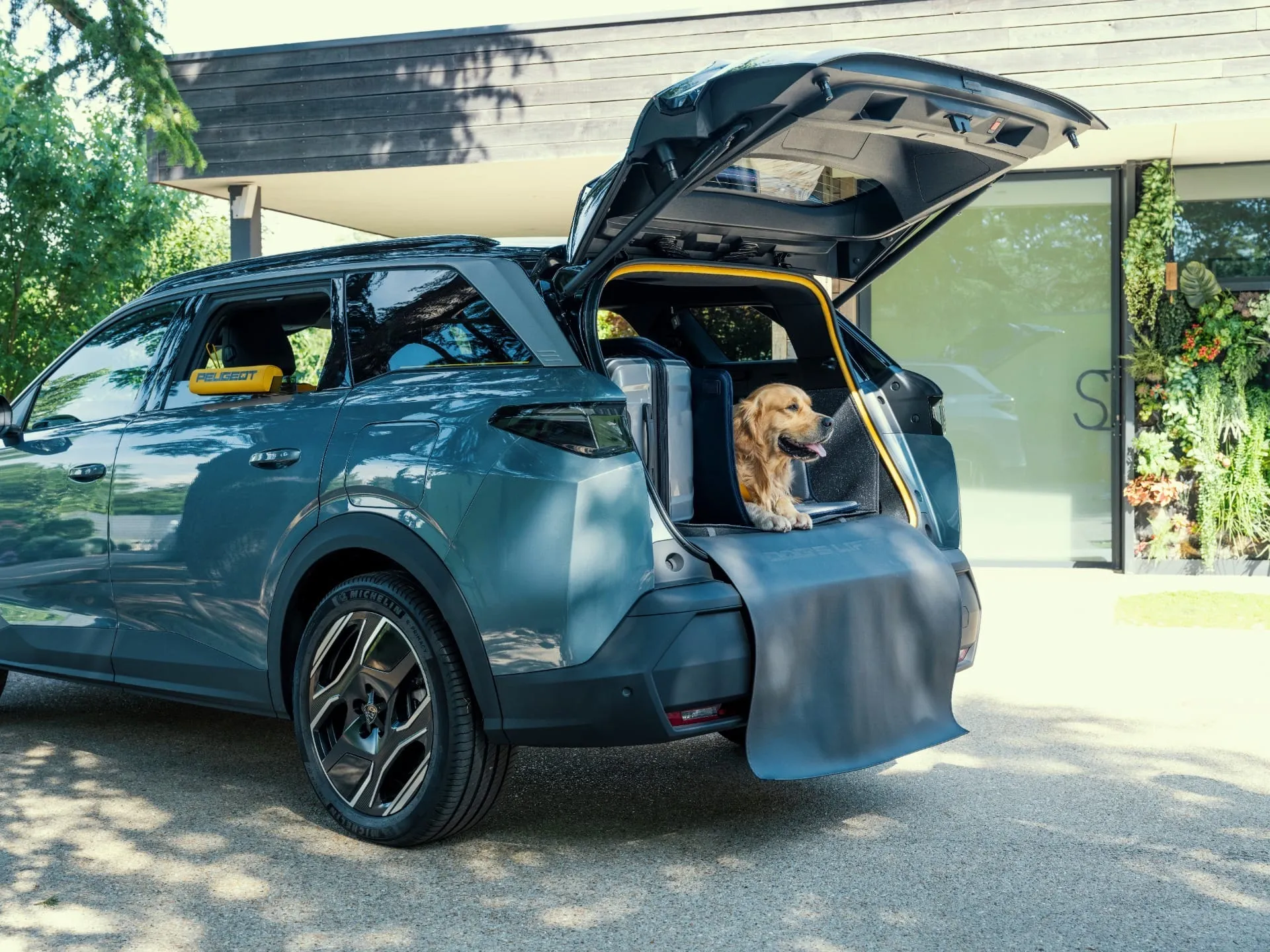E-5008 Dog Edition Concept conta com um conjunto de acessórios específicos para viagens com animais