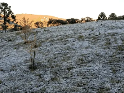 Campos do Jordão registra 1,3°C e bate novo recorde de frio em 2026