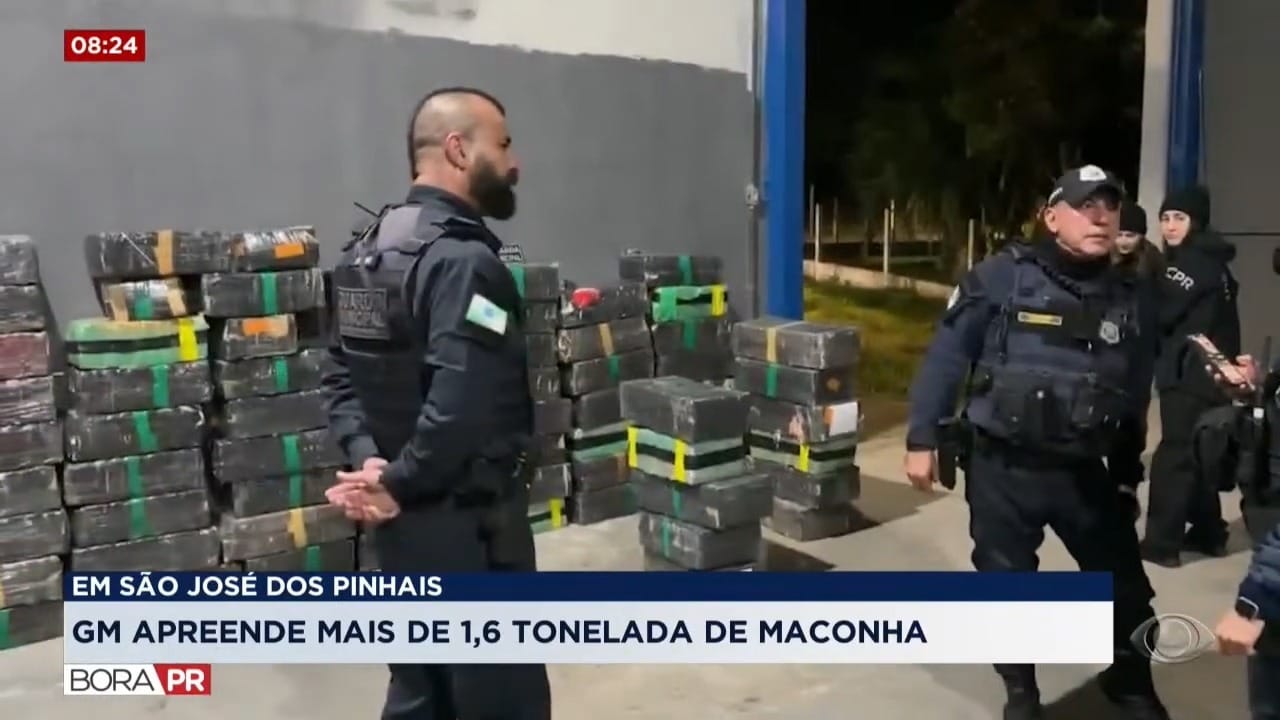 GM apreende 1,6 tonelada de maconha em São José dos Pinhais