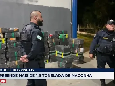 GM apreende 1,6 tonelada de maconha em São José dos Pinhais