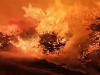 Homem é preso por iniciar incêndio florestal na Espanha