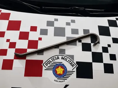 Homem com pé de cabra é preso por tentativa de furto em São José dos Campos