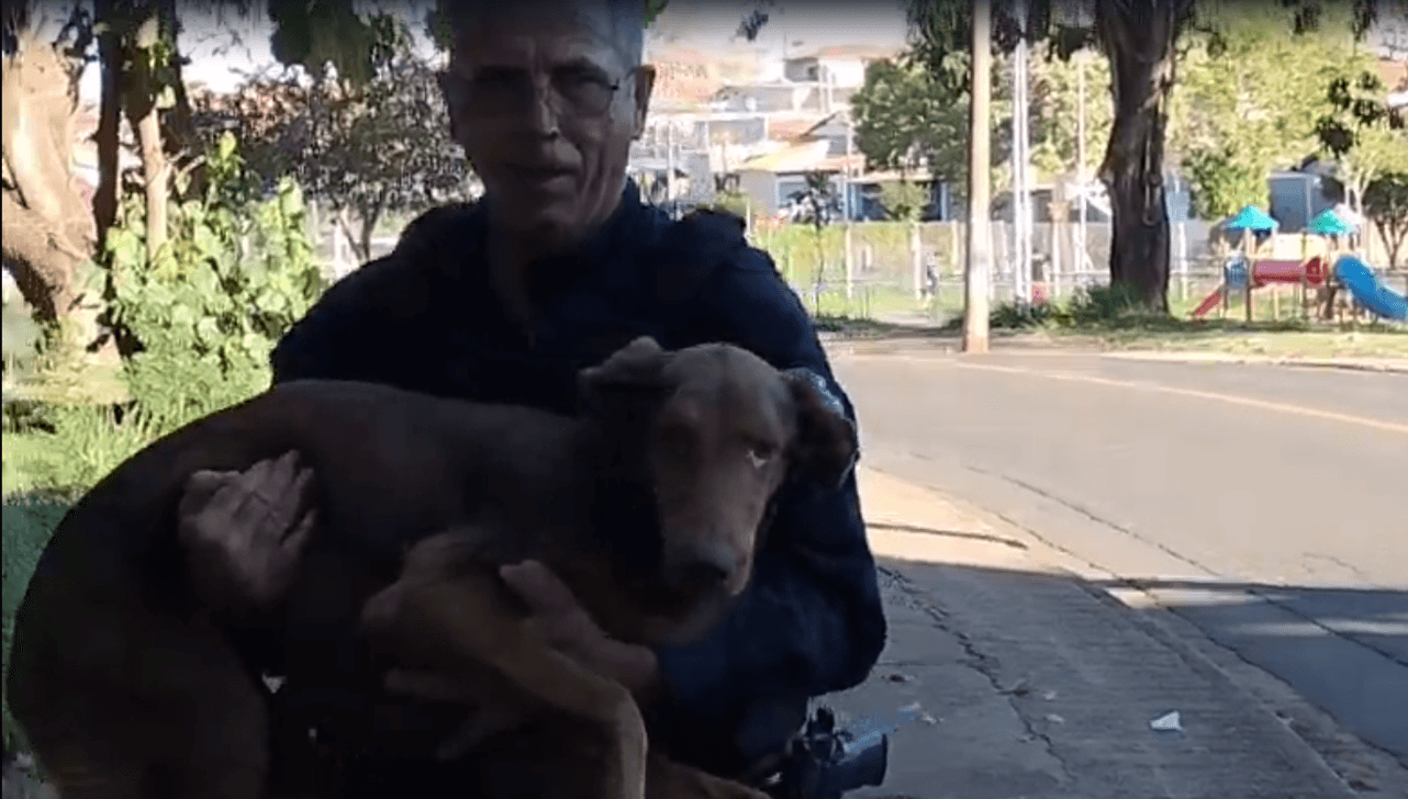 VÍDEO: GCM resgata cadela ferida sob ponte em Santa Bárbara d'Oeste