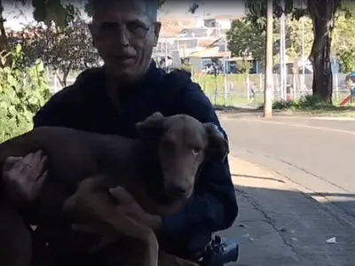VÍDEO: GCM resgata cadela ferida sob ponte em Santa Bárbara d'Oeste