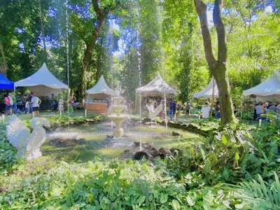Campinas: Festival de Orquídeas e Plantas Ornamentais expõe 3 mil espécies