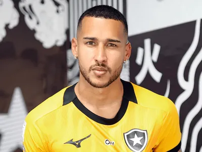 Botafogo anuncia dois goleiros; veja quem são os reforços