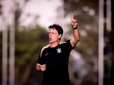 Fernando Diniz é denunciado pelo STJD e pode pegar gancho de três jogos