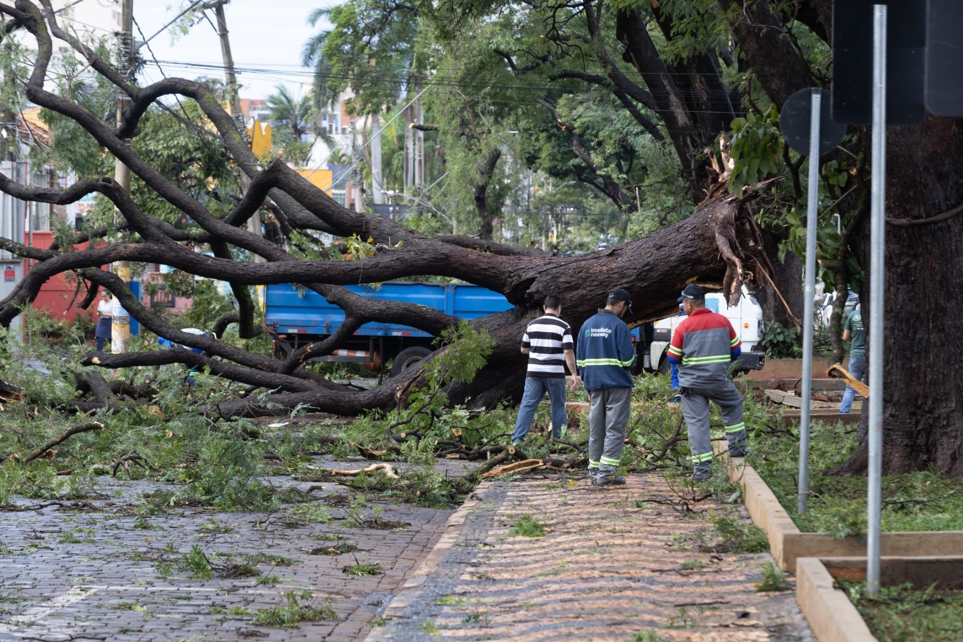 Ribeirão Preto (SP) decreta estado de emergência após temporal