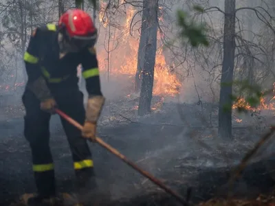 Incêndios florestais obrigam 20 mil pessoas a deixarem suas casas na França