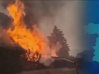 Onda de calor e incêndios florestais causam pânico na Europa e África