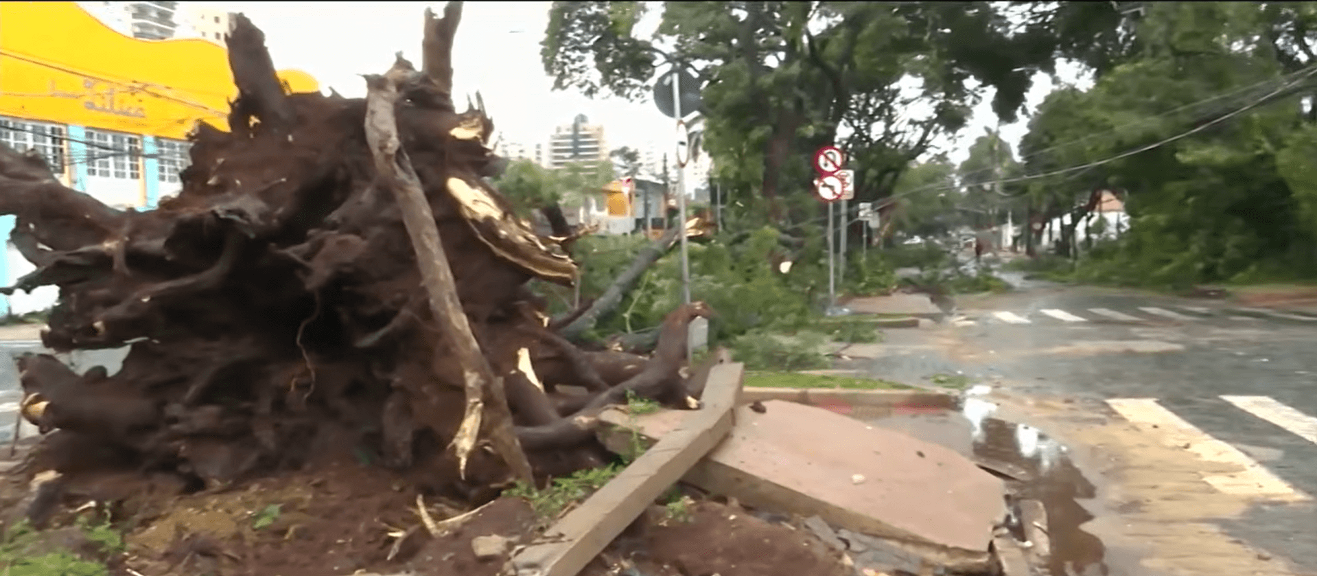 Ribeirão Preto decreta estado de emergência e inicia reconstrução