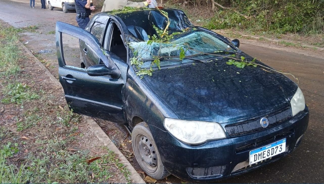 Cesário Lange: homem morre após árvore cair sobre carro durante ventania