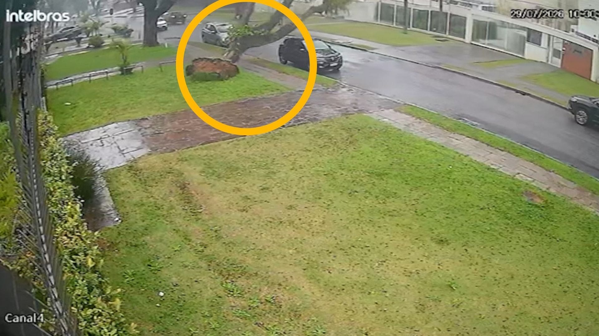 Câmera mostra árvore caindo sobre carro durante temporal em Curitiba