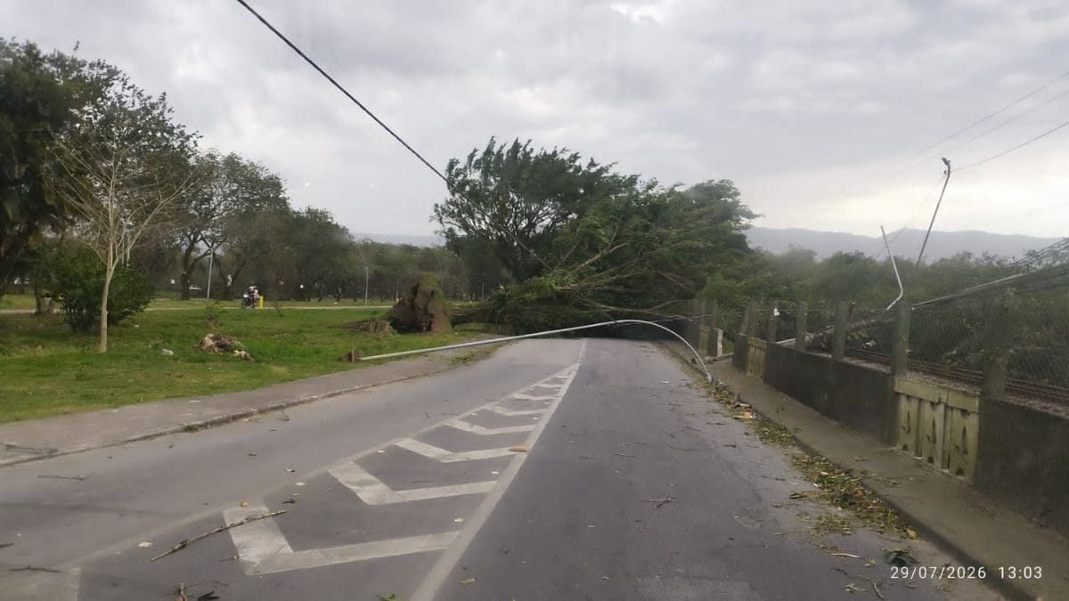 Alerta severo em SP: veja orientações de como se proteger da ventania