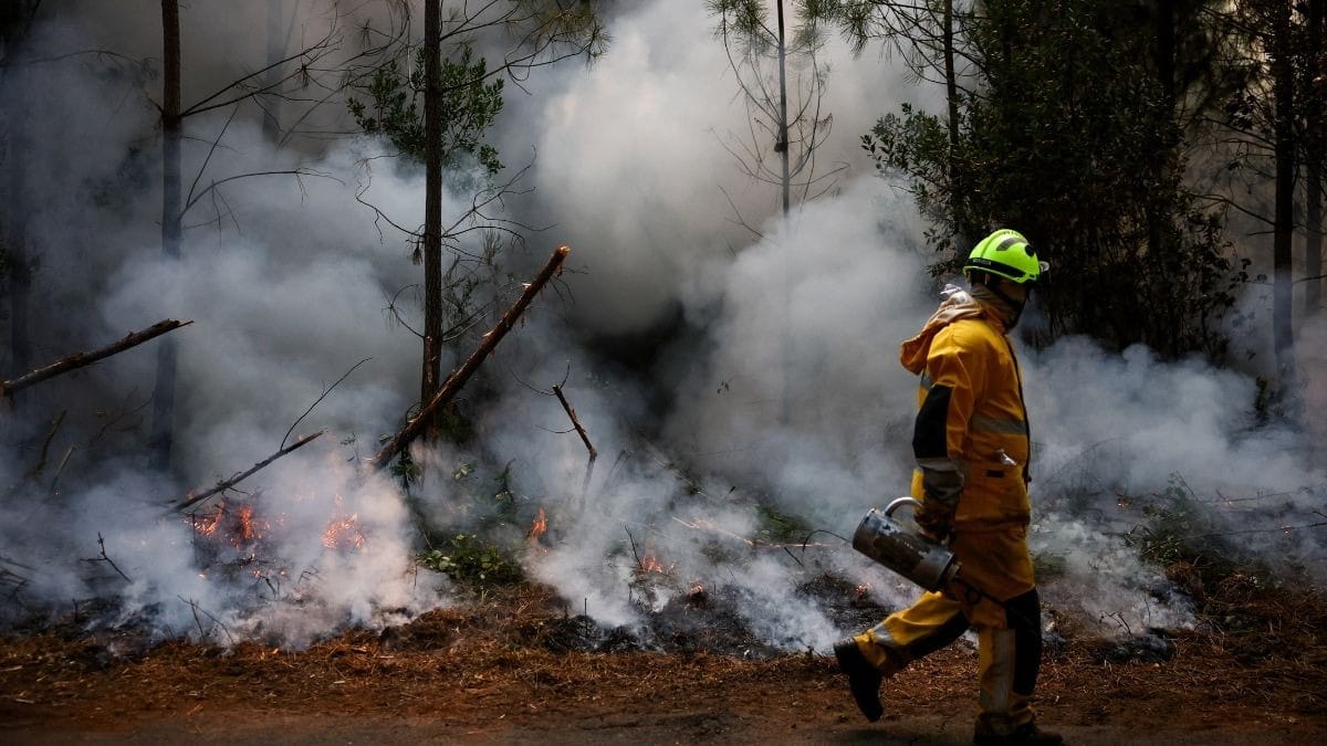 Incêndios na França já destruíram área quatro vezes maior que Paris - QTU Questões do Universo
