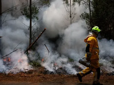 Incêndios na França já destruíram área quatro vezes maior que Paris