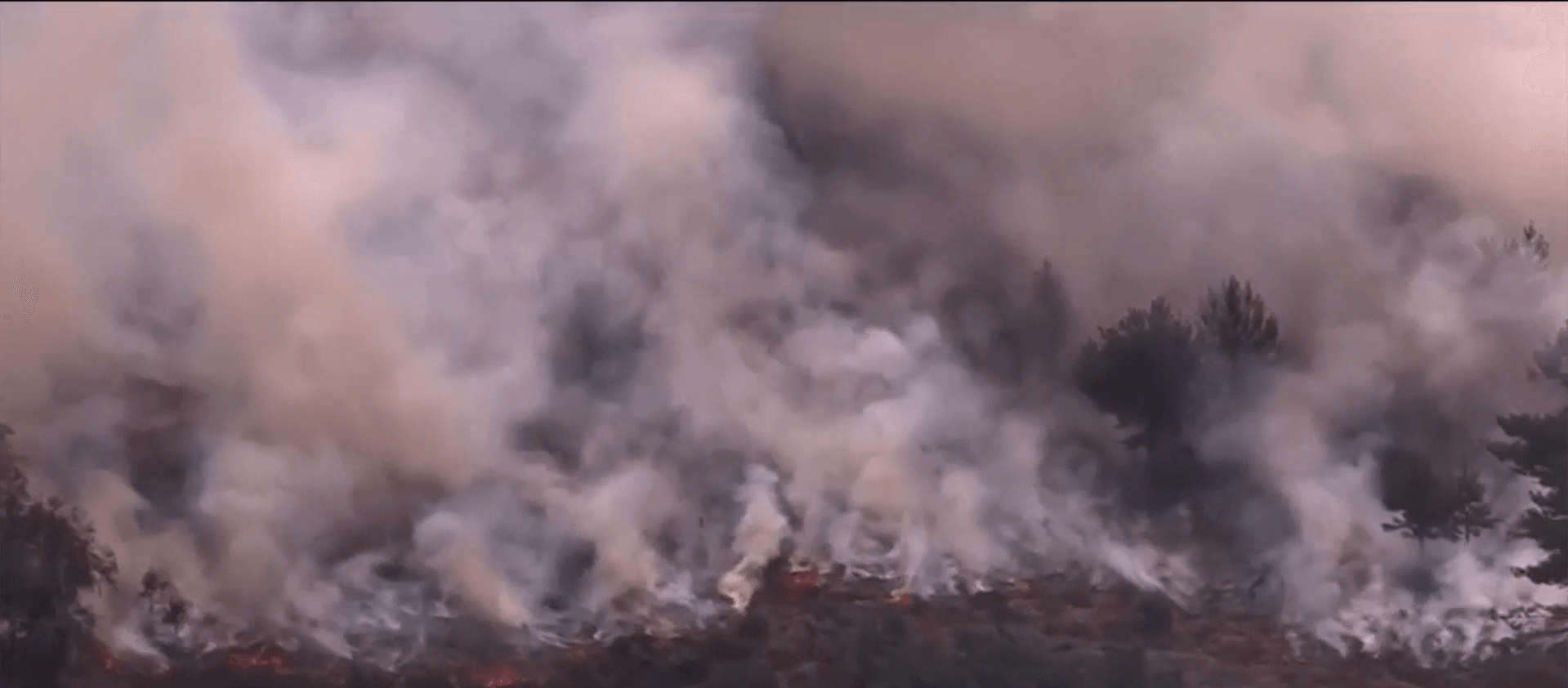 Incêndios na Europa: fogo chega à Grécia; calor deve durar até domingo - QTU Questões do Universo
