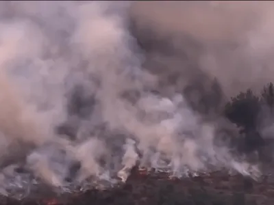 Incêndios na Europa: fogo chega à Grécia; calor deve durar até domingo