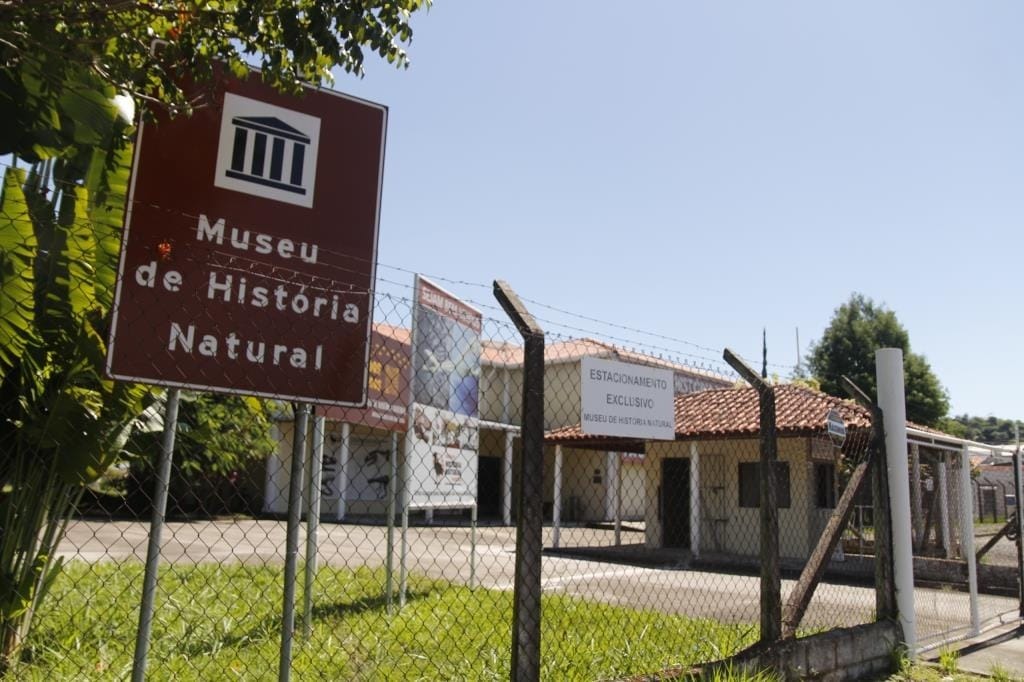 Museu de História Natural de Taubaté realiza noite de observação da Lua