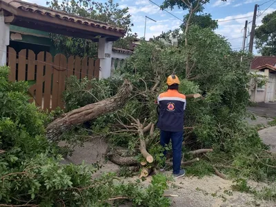 Ventos no Litoral Norte: um morto e criança em estado grave após naufrágio