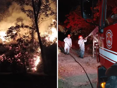 Incêndio em vegetação atinge Morro do Santo Antônio em Caraguatatuba
