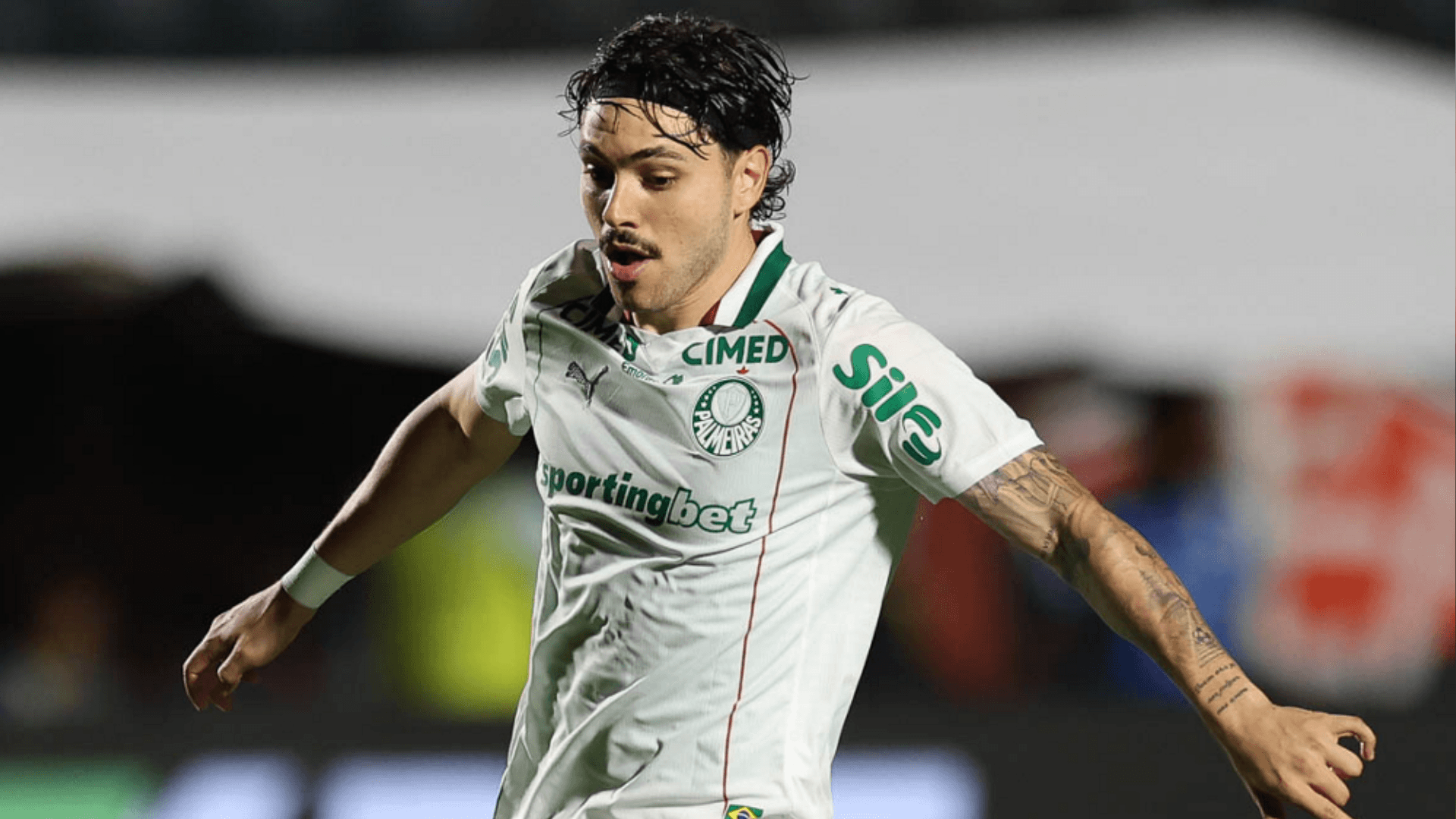 Palmeiras critica STJD por denúncia contra Maurício e cita Fla e Timão - QTU Questões do Universo
