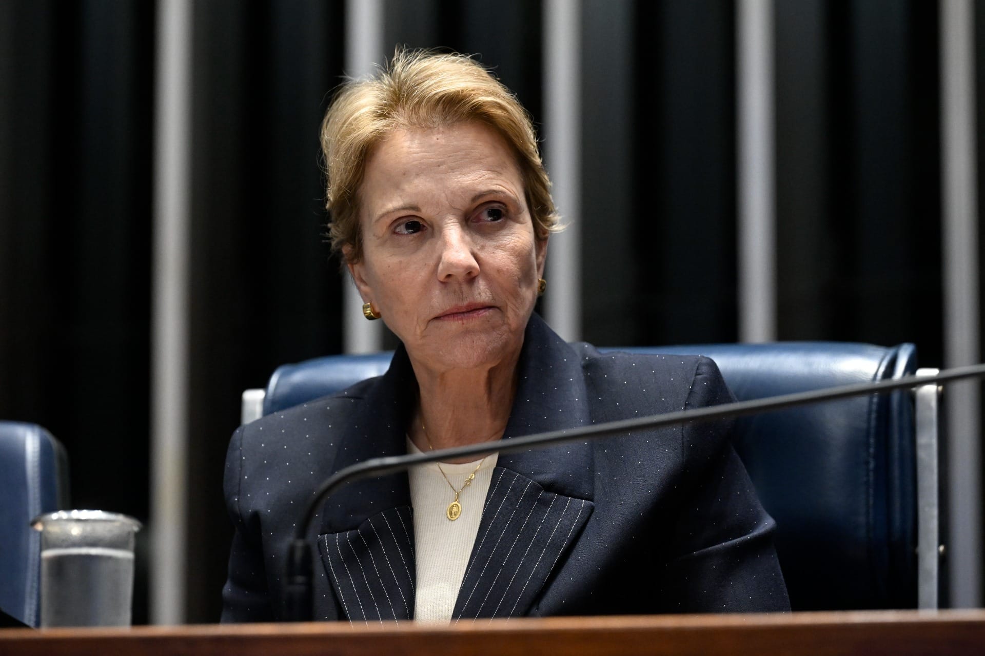 Tereza Cristina diz que negociação para vice de Flávio 'ainda tem espaço'